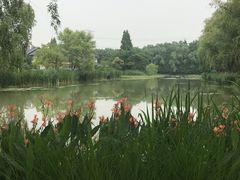 -昆山城市生态森林公园