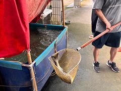 -赋石水库船头鱼红房子饭店