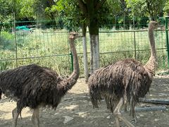-洪湖家庭农场·团建·露营·会议