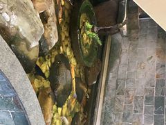 -小糖朝(恒信店)