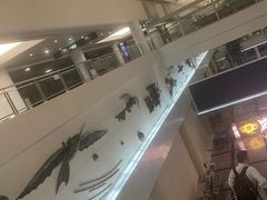 -厦门高崎国际机场-T3航站楼