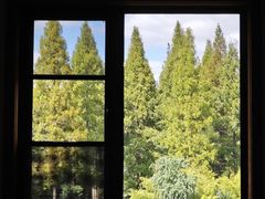 -黄海国家森林公园