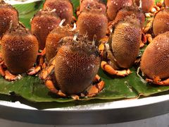 -五月罗马海鲜自助餐厅(陆家嘴店)