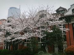 -上海交通大学医学院附属瑞金医院(总院)