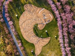 -福建鲤鱼洲酒店