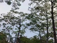 -海上田园