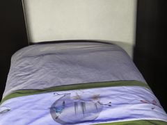 -小仙女采耳·按摩·SPA(深圳旗舰店)