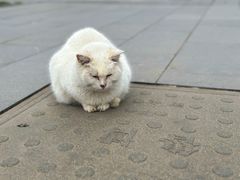 -北京鲁迅博物馆(北京新文化运动纪念馆鲁博馆区)