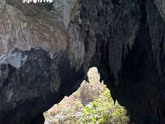 -三门海