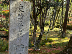 -西芳寺(苔寺)