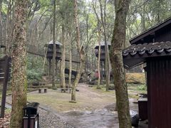 -富春桃源风景区