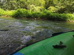 -杭州双溪漂流景区