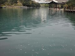 -大罗山风景区