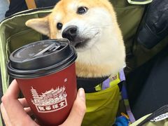 -龙华素斋(龙华路店)