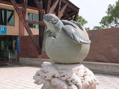 -广东惠东海龟国家级自然保护区