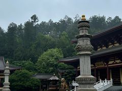 -庐山风景名胜区-东林大佛