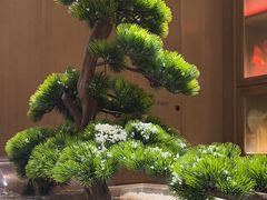 -新世界·过桥米线宴
