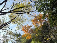 -虞山风景区