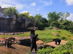 -海南热带野生动植物园