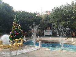 -榕树上·瑜伽普拉提