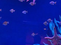 -沈阳海洋探索中心