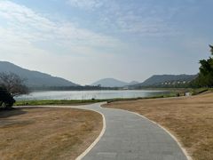 -风云岭森林公园