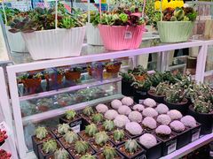 -KKV(天津津南吾悦广场店)