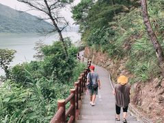 -羚羊峡古栈道森林公园