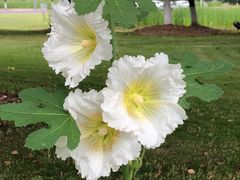 -星巴克(苏州建屋店)