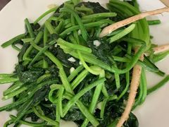 富硒菠菜-谭家菜农夫山庄