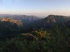 -大岭沟猕猴桃谷风景区
