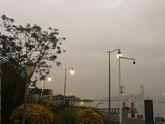 -深圳湾公园(南山区)