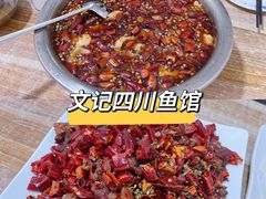 -文记四川鱼馆(小纬北路店)