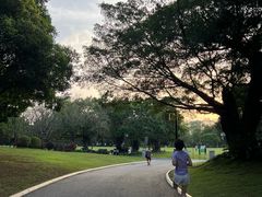 -南宁南湖公园