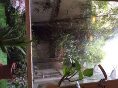 iphone_upload_pic-燕庭·纯燕窝·甜品下午茶(南京西路店)