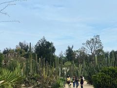 -猫咪博物馆(顶澳仔猫街店)