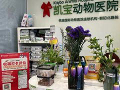 -悦宠凯宝动物医院·牙科·皮肤科(朝阳北路店)