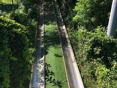 -富斯特索道