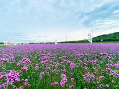 -西海岸生态观光园