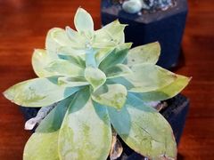 -阅西安新华书店(翠华南路店)