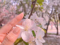 -莲花池公园