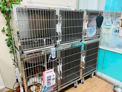 -中农大我爱我爱24h动物医院·中医针灸·猫专科·骨科医疗中心(双井店)
