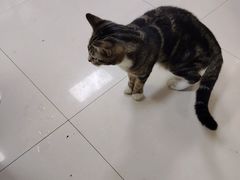 -重庆麻辣烫(国权路店)