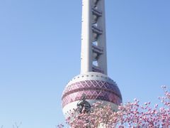 -东方明珠广播电视塔