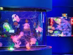 -太平洋海底世界