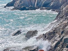 -广东惠东海龟国家级自然保护区