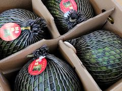 -西郊国际农产品交易中心