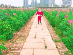 -美的鹭湖森林度假区
