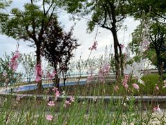 -上海滴水湖皇冠假日酒店
