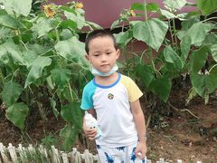 -武汉紫薇都市田园